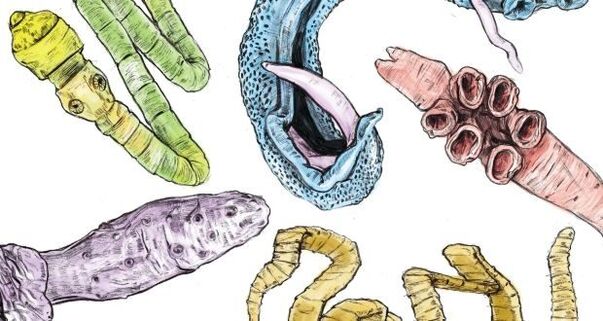 Parasiten im menschlichen Körper