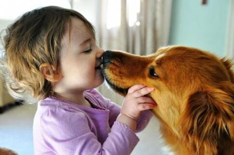 Wurminfektion durch einen Hund
